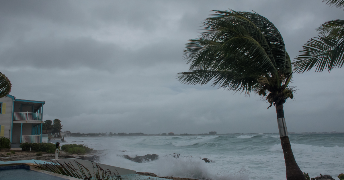 Hurricane Season Power Readiness: Tampa Families Need More Than Generators